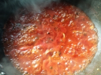 本格的！トマトの煮込みハンバーグ
