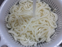 冷製山菜うどん