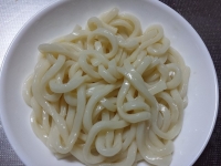 豚とゴボウのかけうどん