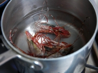 海老の頭入り♪青のりの味噌汁